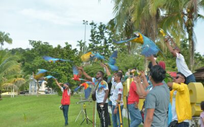 Aktiviti Kelab JB Free Fly Di UTM